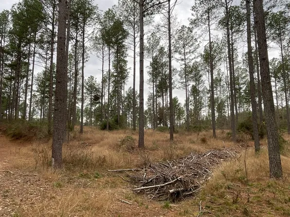 729 Fm, Jefferson, TX 75657