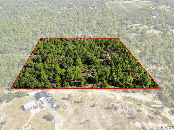 10686 N Statue Point, Dunnellon, FL 34433