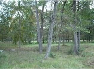 1 Chandlers Way, Magnolia, TX 77355