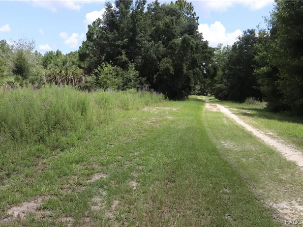8615 N Sanfilippo Loop, Crystal River, FL 34428
