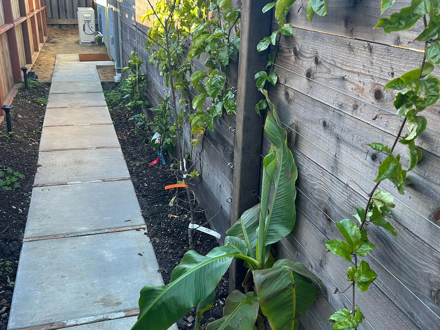 Behrens St, El Cerrito — Photo 4