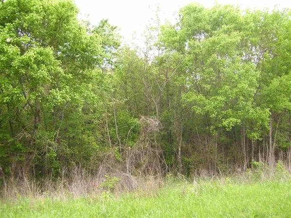 275 Woods Hollow Rd, Decatur, TN 37322