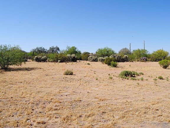 3rd image of 11426 W Desert Wren Dr