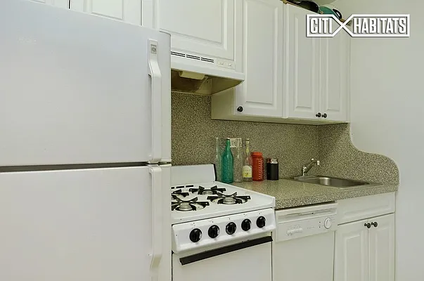 Rented by Citi Habitats | media 17