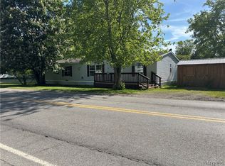 9743 McKinstry Rd, Machias, NY 14101