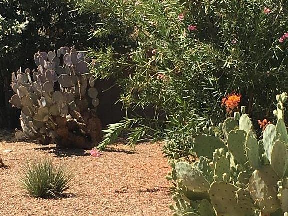 3rd image of 2961 W Placita Montessa