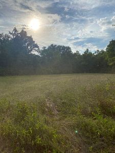 9922 Fm 241, Alto, TX, 75925
