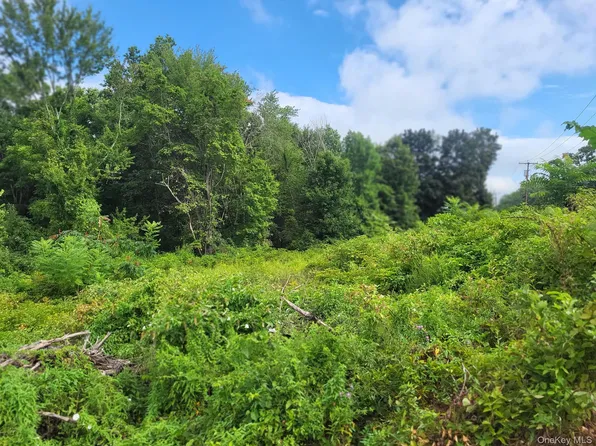 W NYS RTE 208 Highway (Bona Ventura) Avenue, Wallkill, NY 12589