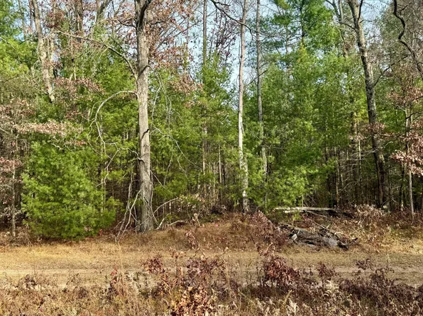 6034 S Jefferson Ct, Baldwin, MI 49304