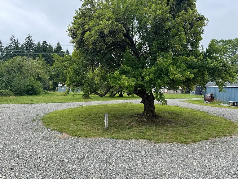 State Highway 507 SE — Photo 19