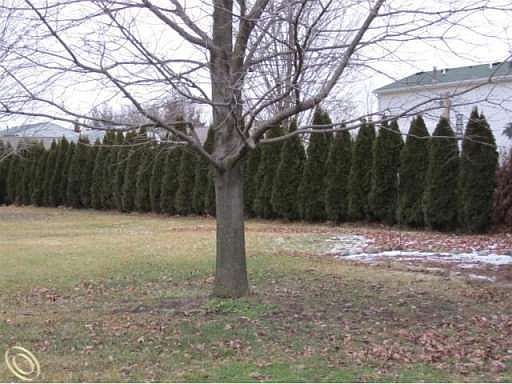 4th image of 1093 Meadowcrest Dr