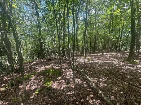 97 Daylily Ct, Terra Alta, WV 26764