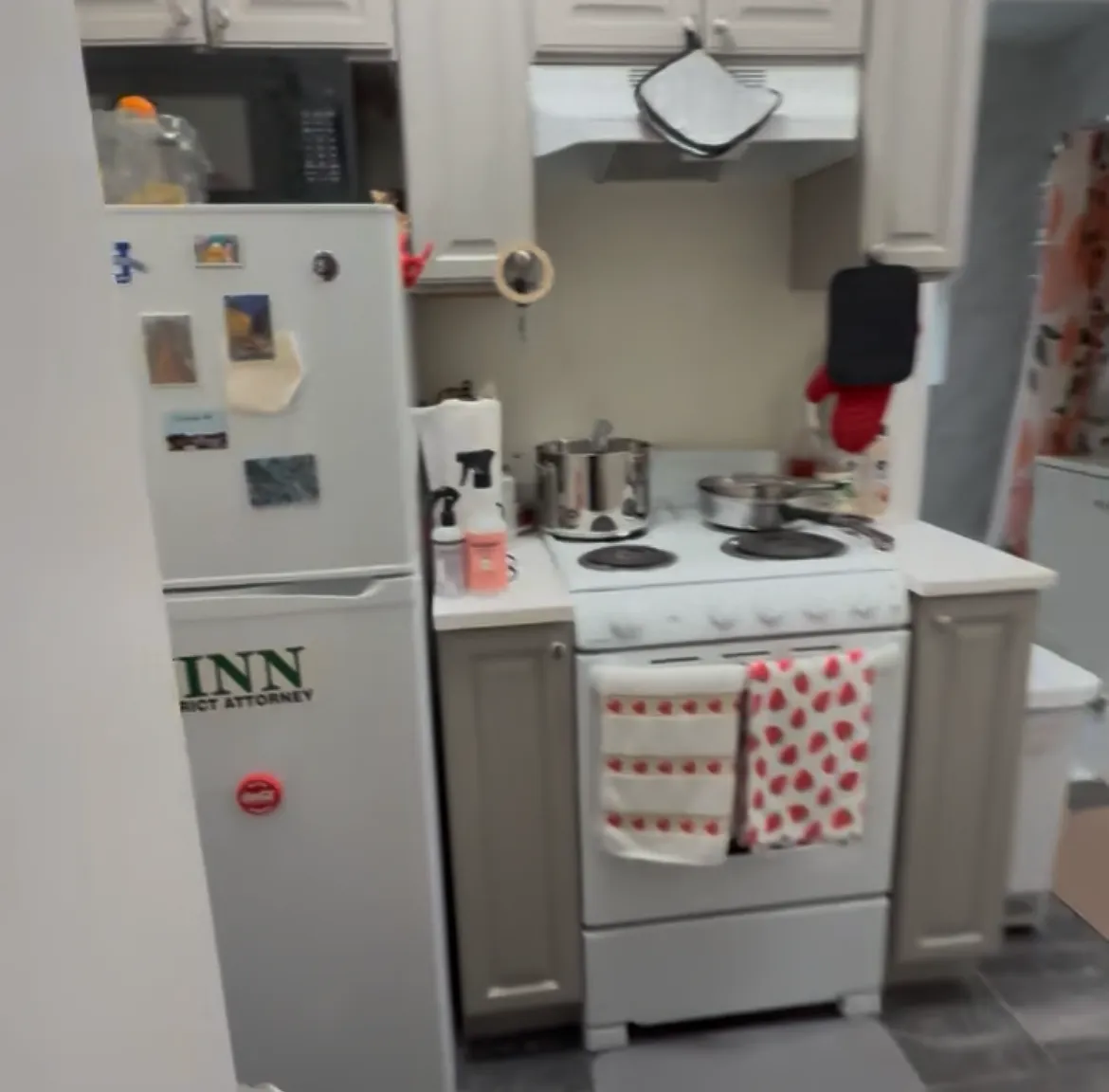 Studio, 450 sqft, $2,450 — Photo 2