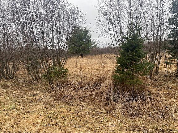 3rd image of ON Shauger Road