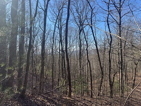 3rd image of 17 W Ridge Dr