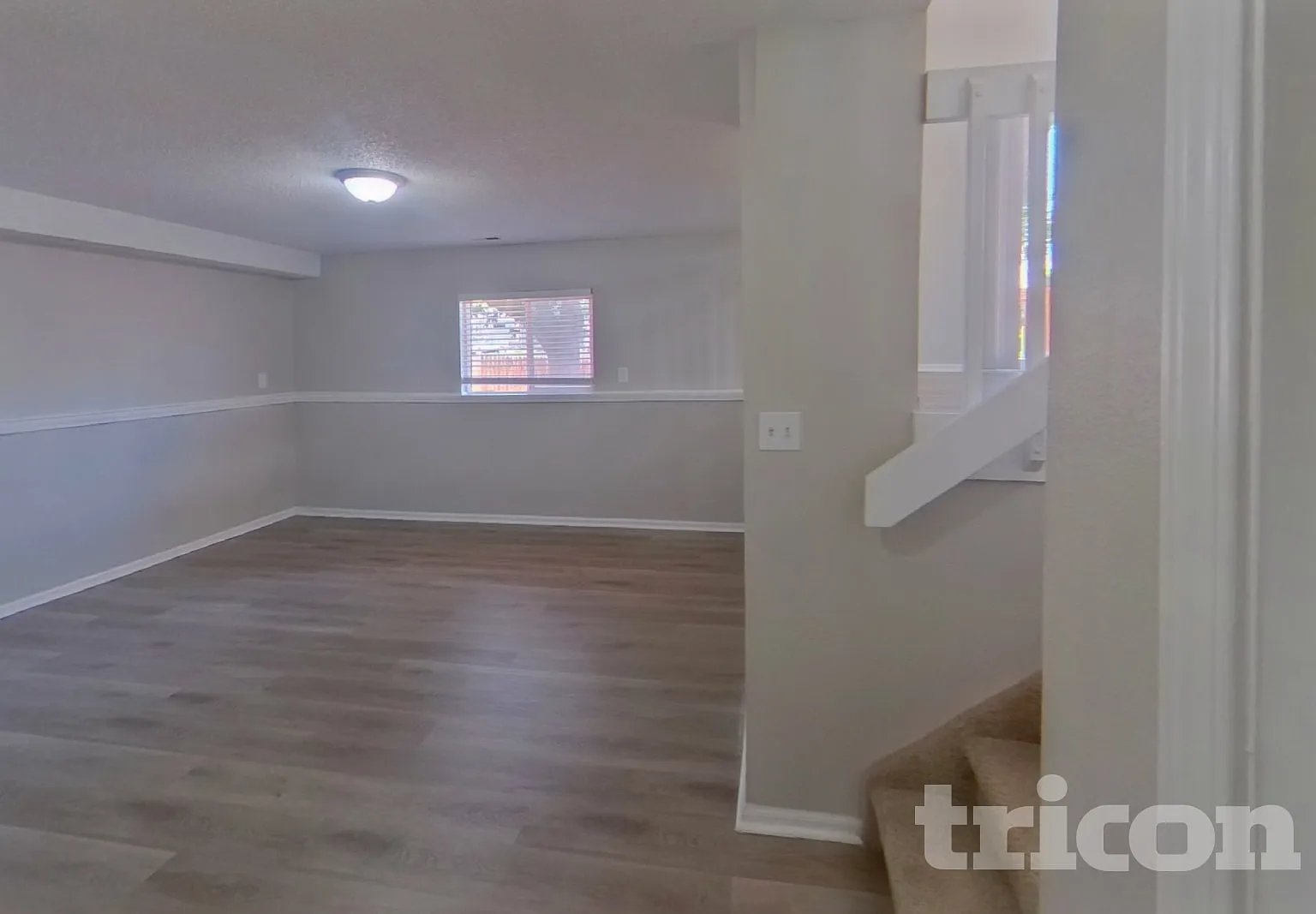 4650 Dooley Way Colorado Springs CO — Photo 3