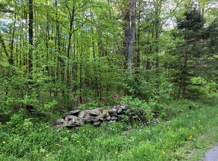 L14 Blenheim Hill Rd, Jefferson, NY 12093