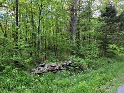 L14 Blenheim Hill Road, Jefferson, NY, 12093