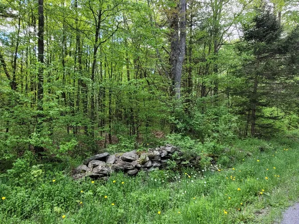 L14 Blenheim Hill Road, Jefferson, NY 12131