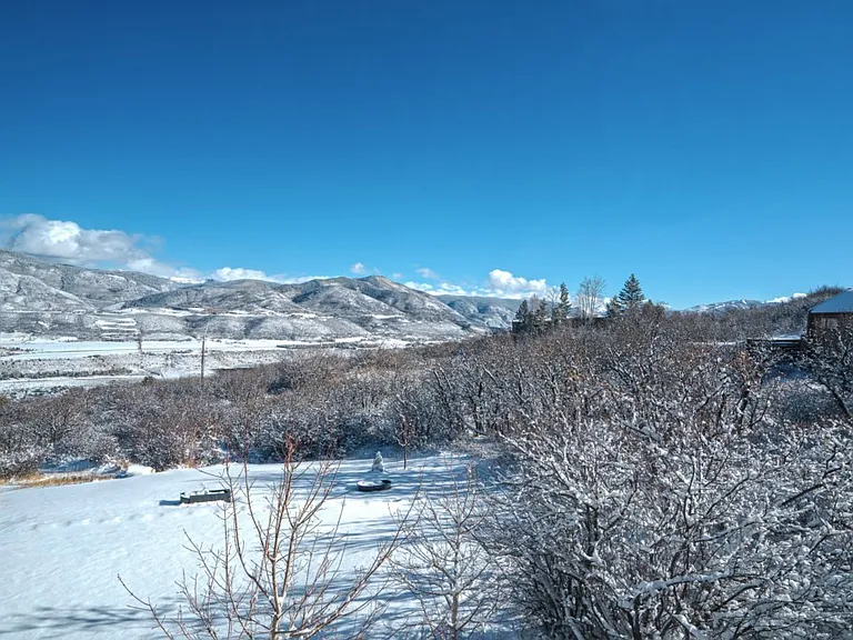 2310 Juniper Hill Dr — Photo 10