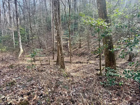 L53 Amy Creek Cir, Ellijay, GA 30540