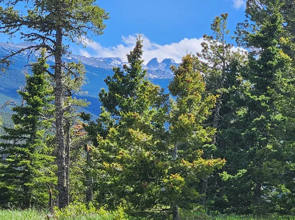 LOT 12 Blacktooth Rd, Big Horn, WY 82833