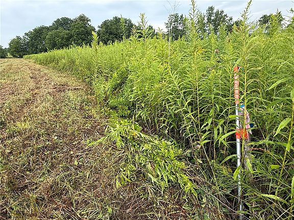 4th image of Halseyville Rd Lot 32