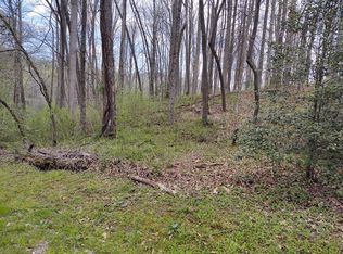 LOT 47 Crocus Ln, Dillsboro, NC 28725