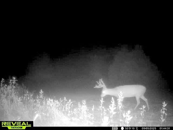4th image of 0 Frond Hill Rd