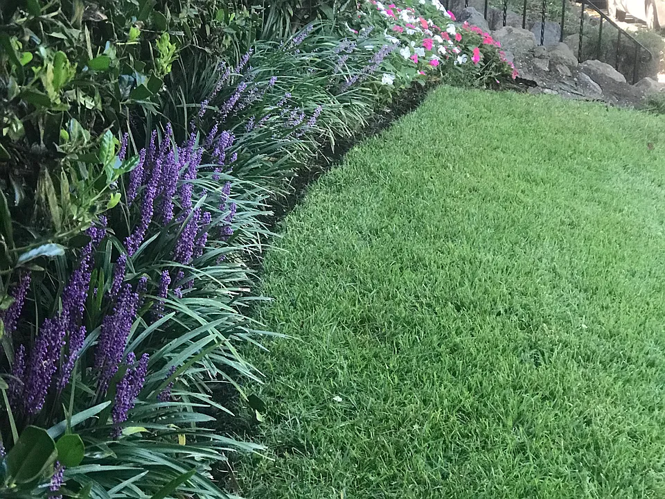 Yard in front of building