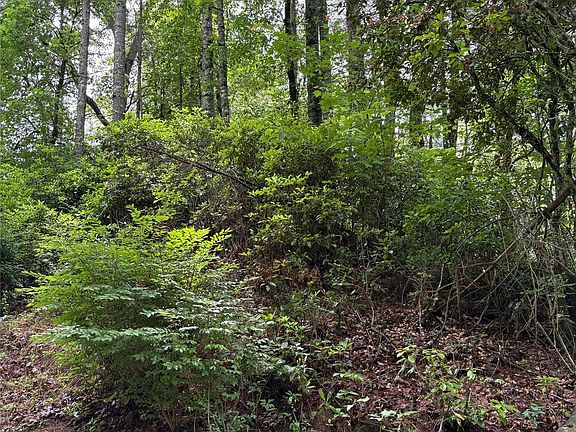 4th image of 197 Fox Hollow Cir #28