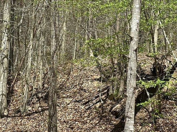 4th image of 2 Sugar Tree Rd