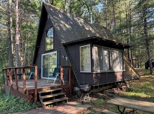 8160 W River Rd, Irons, MI 49644