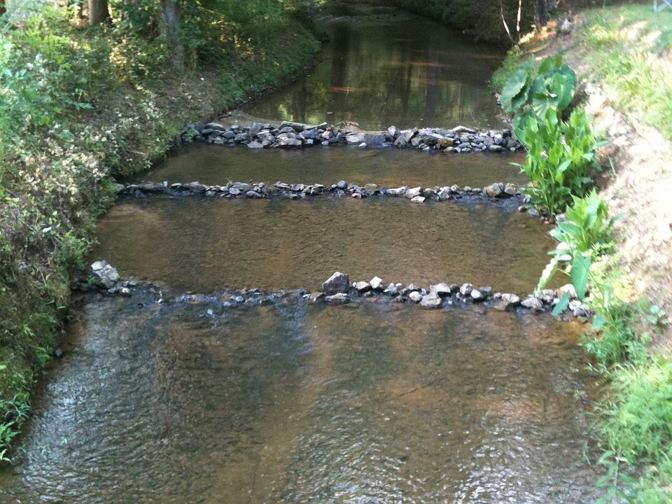 Cottaquilla creek borders pr