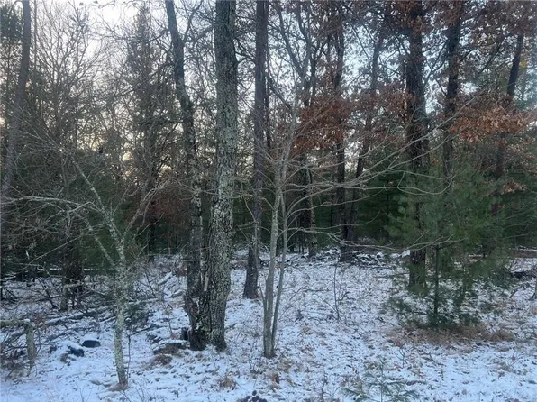 00000 Borg Road, Grantsburg, WI 54840