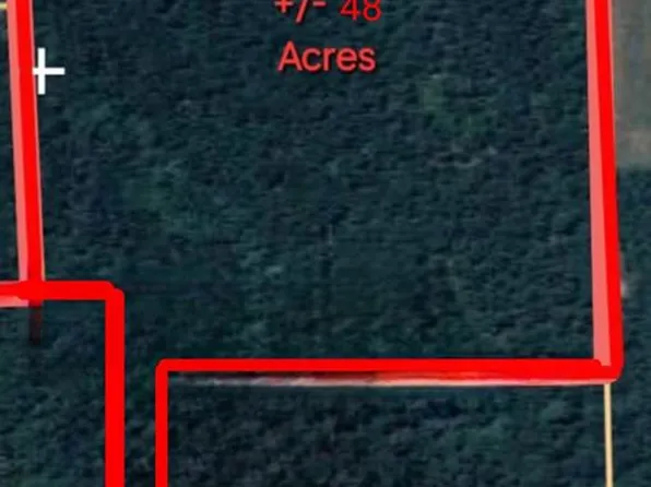 840 Power Dam Rd Lot 1, Newton, AL 36352