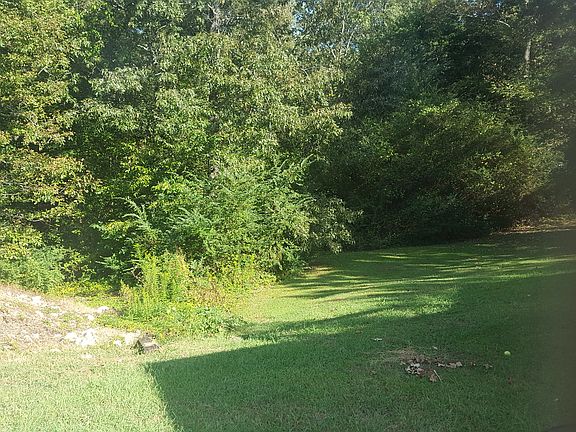 yard beside driveway