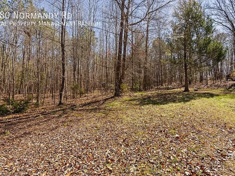 180 Normandy Rd — Photo 35