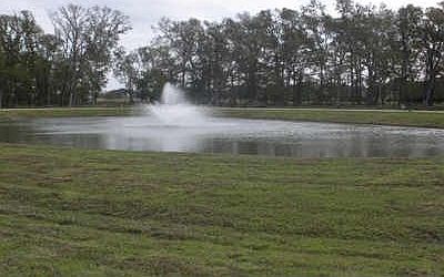 2nd image of 226 Royal Lakes Manor Blvd