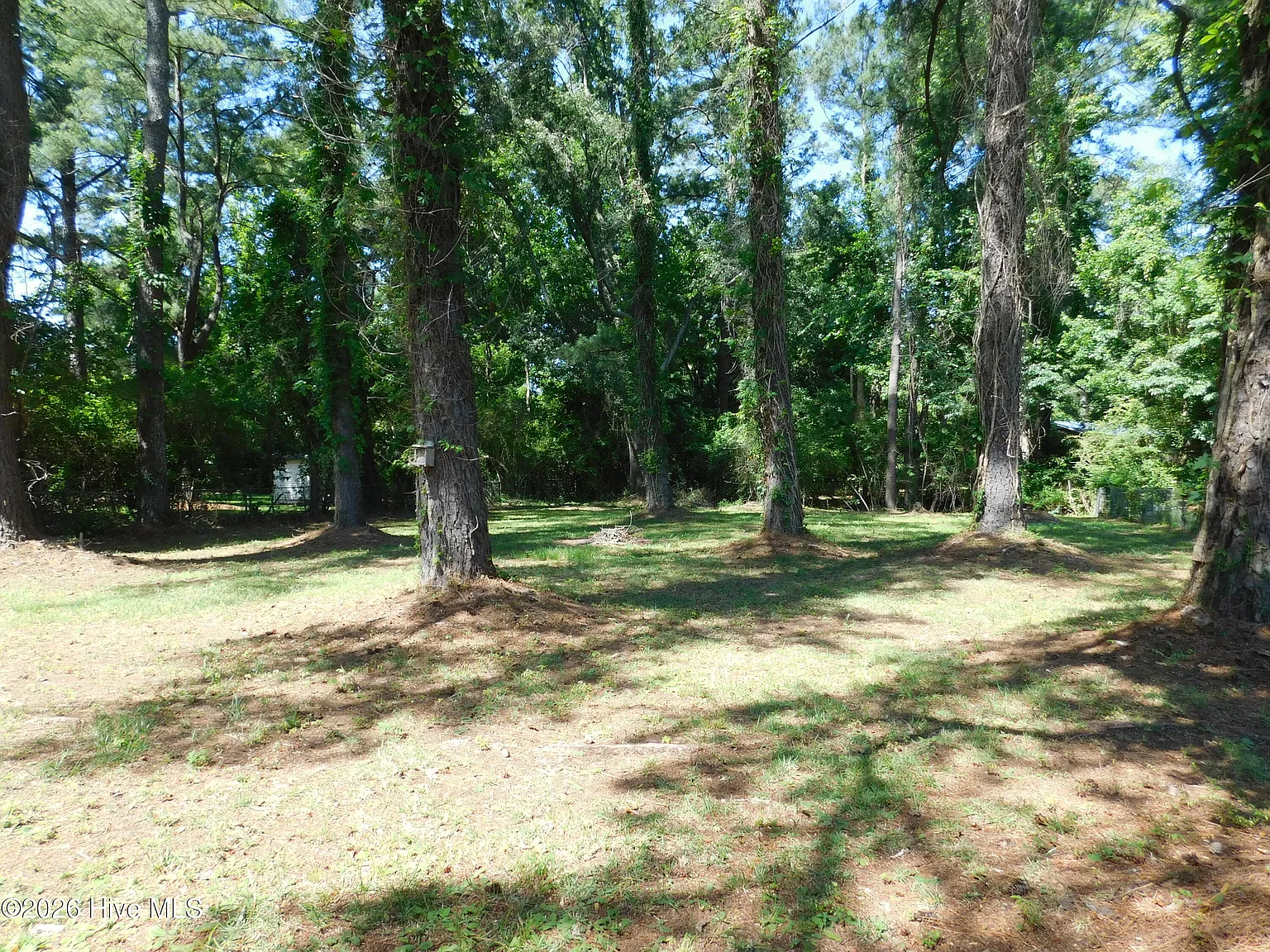 3 bed, 2.0 bath, 1025 sqft, $1,450 — Photo 2