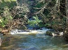 1st image of 13898 Highway 53 E