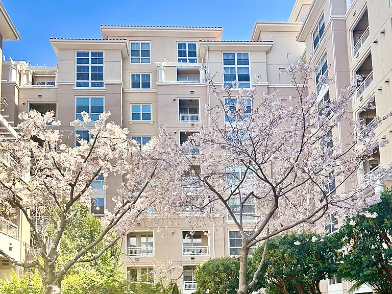 Courtyard view