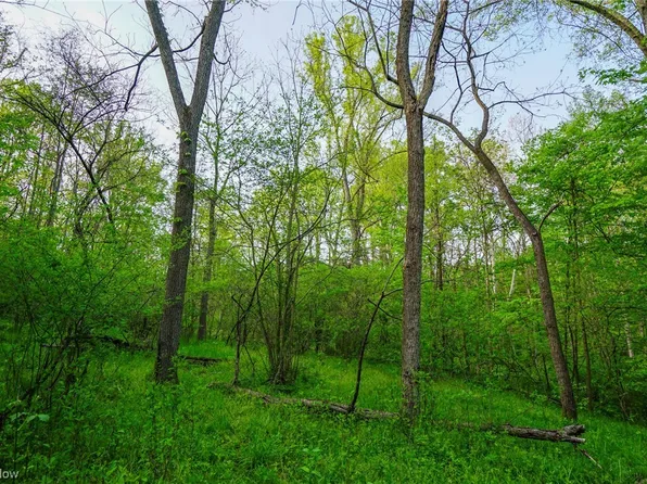 Sandusky Rd, Albany, OH 45710