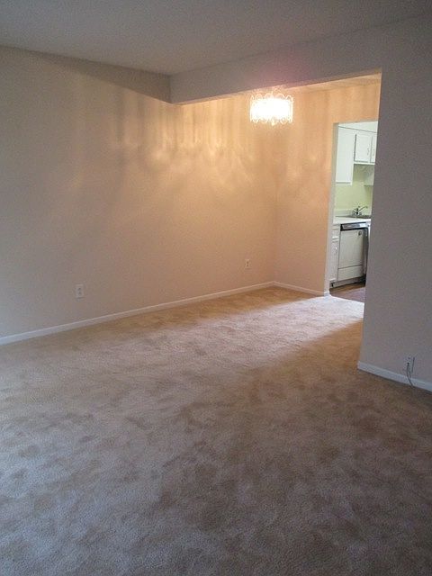 Large living room