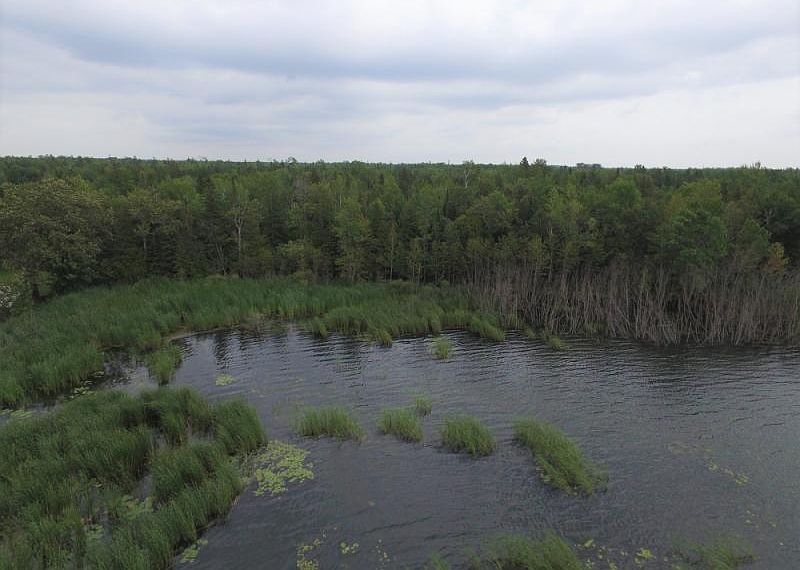 10 Maxton Rd, Drummond Island, MI 49726 | Zillow