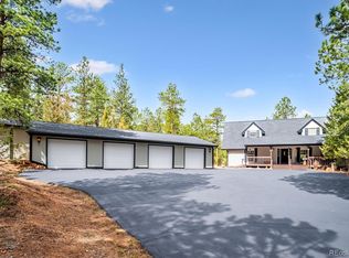 410 Spring Dr, Pine, CO 80470