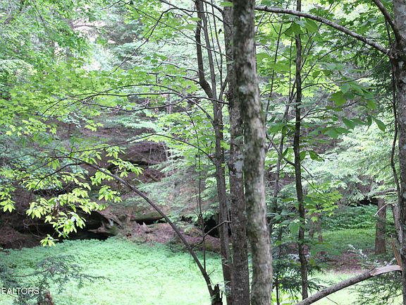4th image of 232 Wright Cemetery Rd