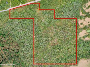 48.77 Acres Hwy #45, Hindsville, AR 72738