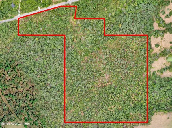 48.77 Acres Hwy #45, Hindsville, AR 72738