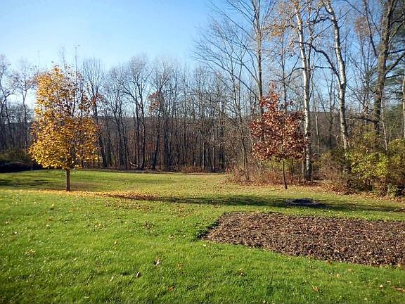 4th image of 41 Rogers Mountain Way
